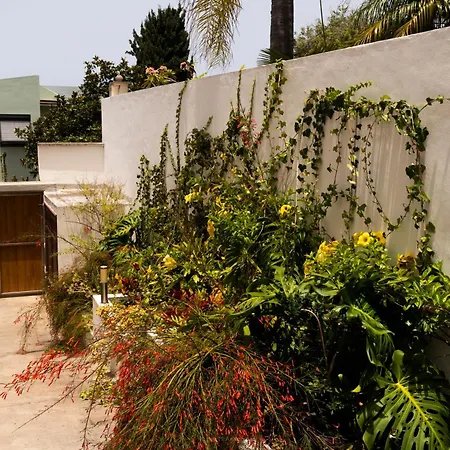 Laurisilva Vila Sauzal