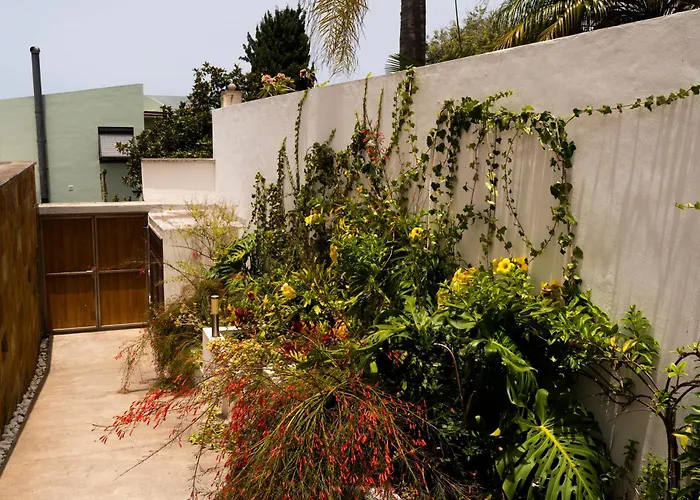 Laurisilva Vila Sauzal